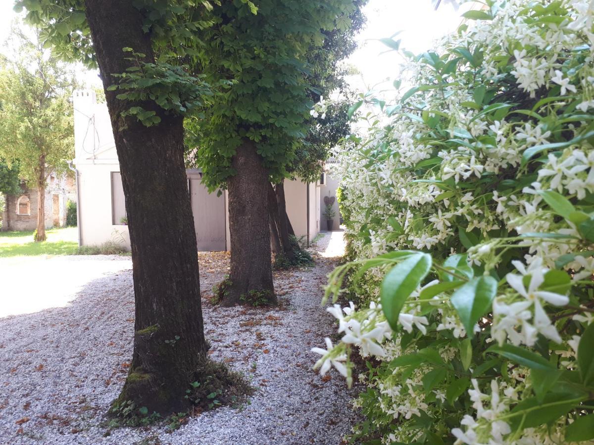 Villa Fiorentino Падуя Экстерьер фото